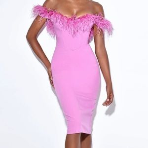 Miss Circle Ophelia Fuchsia Feather Corset Dress